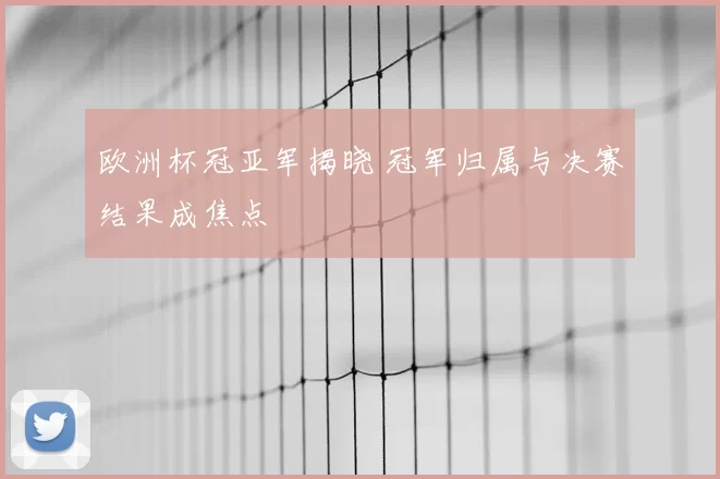 欧洲杯冠亚军揭晓 冠军归属与决赛结果成焦点