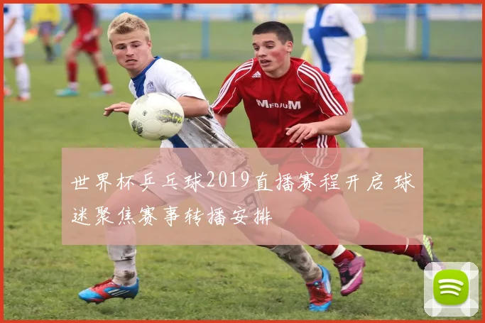 世界杯乒乓球2019直播赛程开启 球迷聚焦赛事转播安排