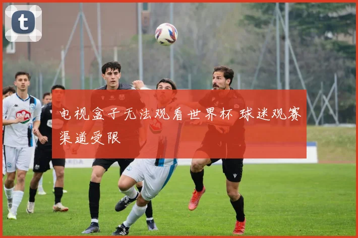 电视盒子无法观看世界杯 球迷观赛渠道受限