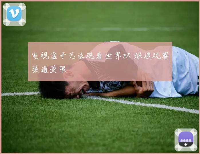电视盒子无法观看世界杯 球迷观赛渠道受限